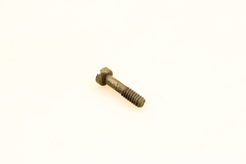 OMC 510192 Magneto Plate Screw NOS