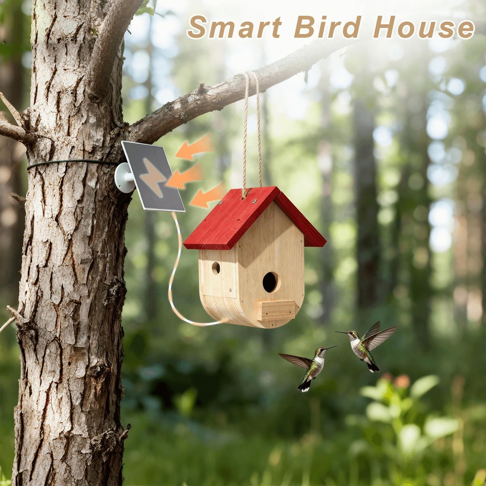 Hummingbird House with Solar Powered