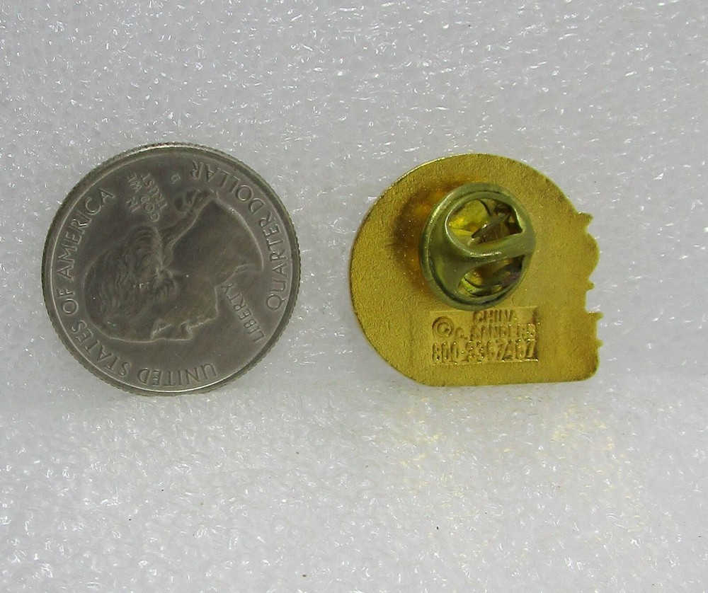Teachers Shape The Future Pin