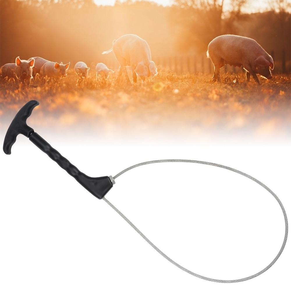 Durable Pig Holder for Livestock WT