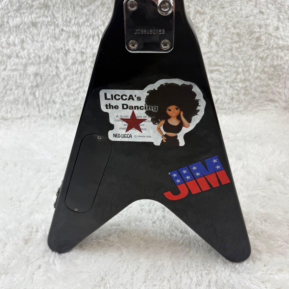 Epiphone mini flying V Safe Packing!