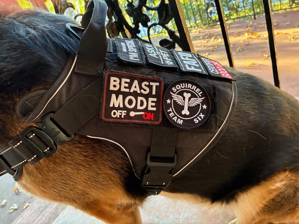 Squirrel Team Six (6) K-9 Working Dog Tactical Vest & Harness Hook & Loop Patch