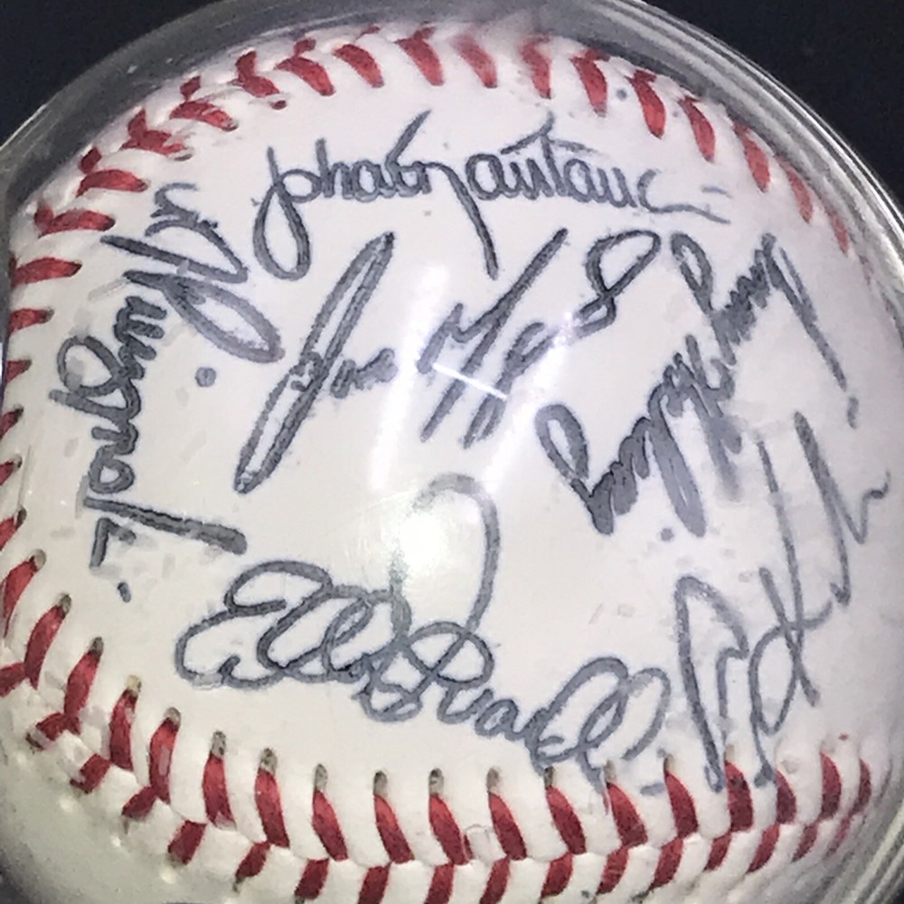 Incredible Multi Signatures Baseball Minn Twins