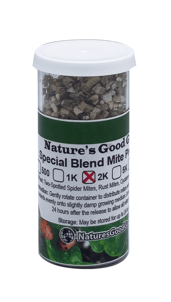 NaturesGoodGuys - Special Blend - Predatory Spider Mite Control - QTY2,000