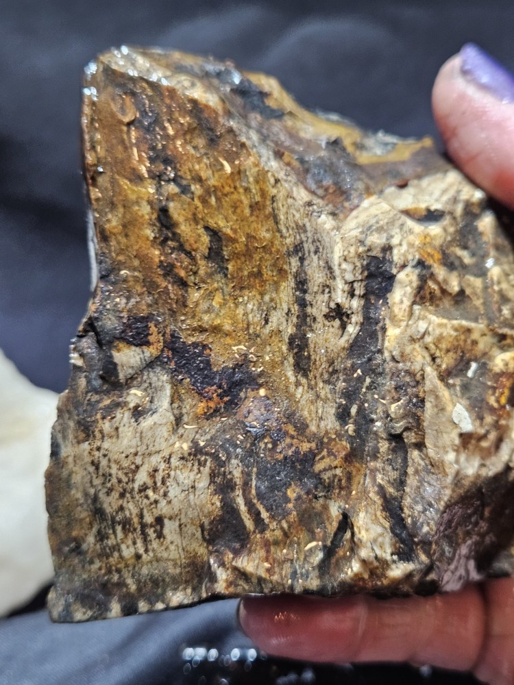 Biggs Jasper Multi Colored w/ Dendric Specimen Natural Form (14oz)