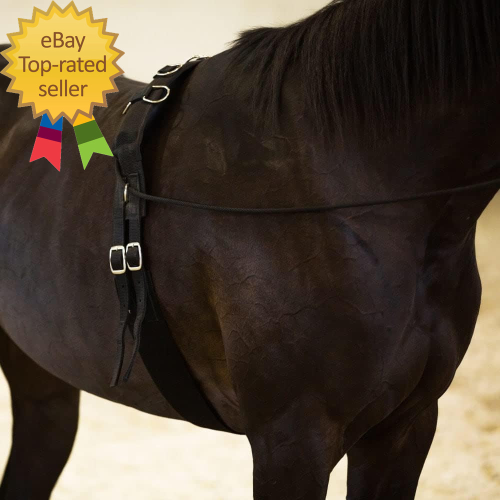 Lunging Surcingle for Horses | Nylon Roller for Training