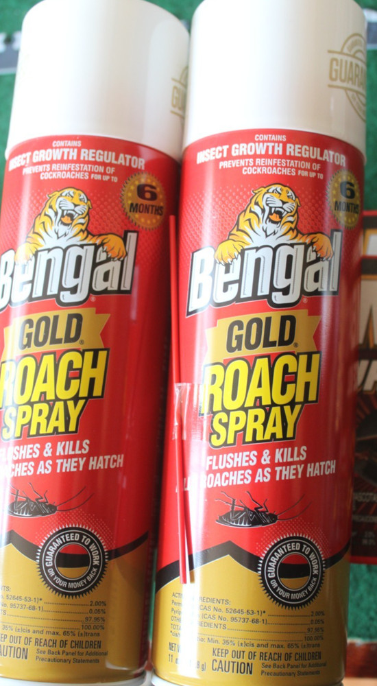 8 Roach Killing Items, Bengal Gold, Black Flag Roach Motel, Combat Source Kill