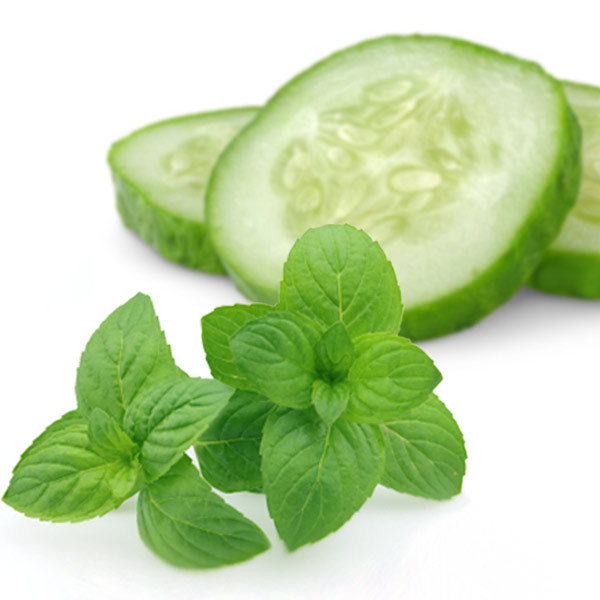 4 oz Candle Scent Oil-CUCUMBER MINT