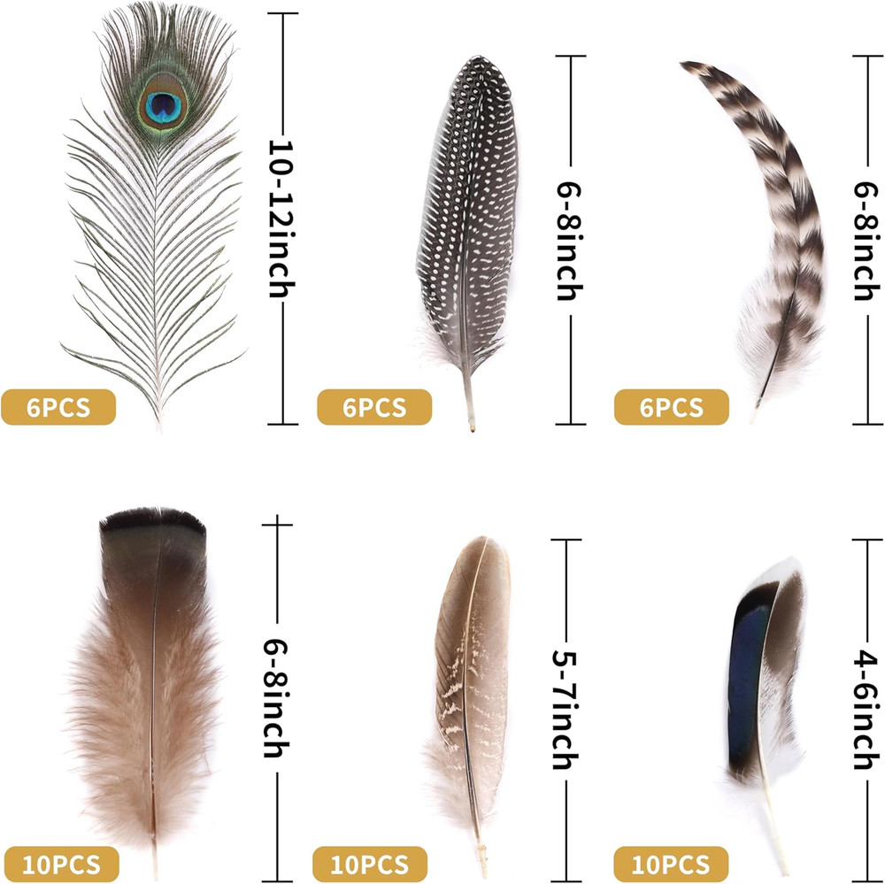 48Pcs Natural Feathers Bulk - 6 Styles Assorted Peacock, Pheasant, Turkey Feathe