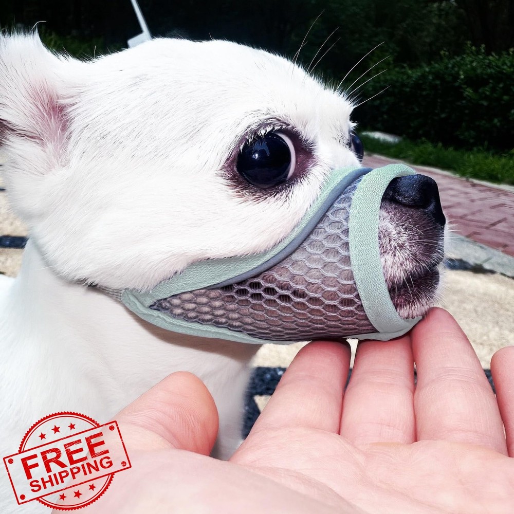 Mint Blue M Dog Muzzle for Small Medium Short Snout Dogs