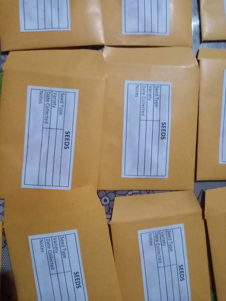 50Pcs Seed Saving Envelopes, Bulk 2.5x3 Empty 80gsm Packets Seeds container pack