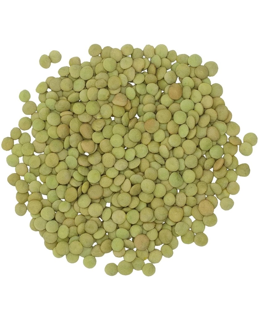 Bulk Green Lentils - & Non-GMO Verified