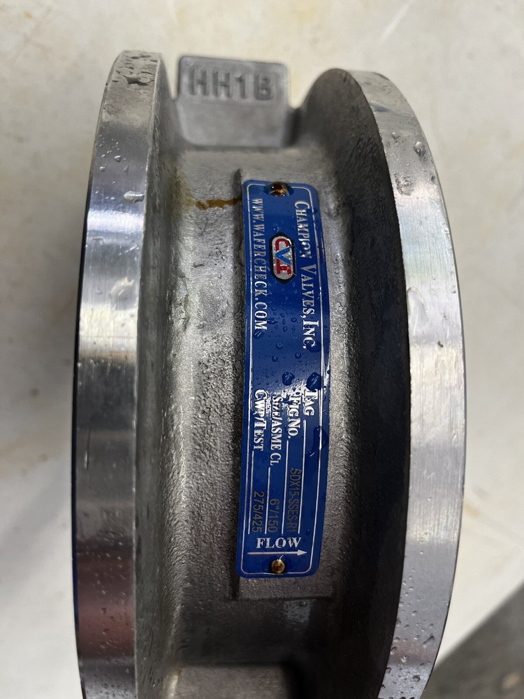 6” Stainless Steel Check Valve