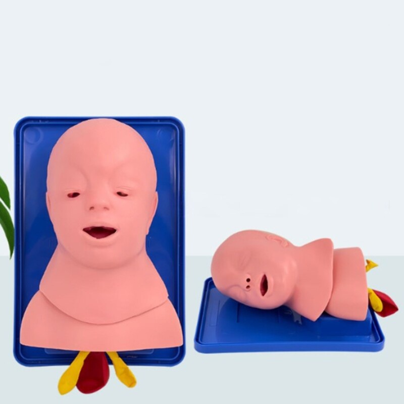 Human Baby Tracheal Intubation Training Model