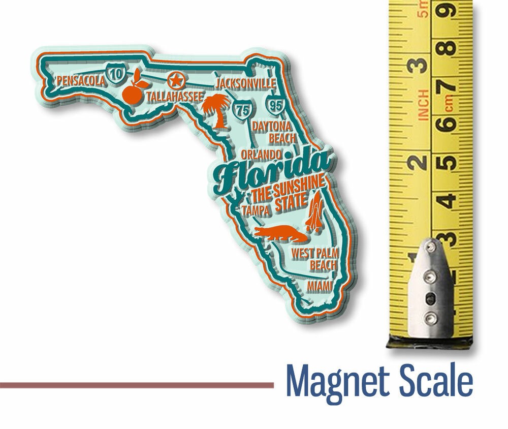 Florida Premium State Magnet by Classic Magnets, 3.4" x 2.9"