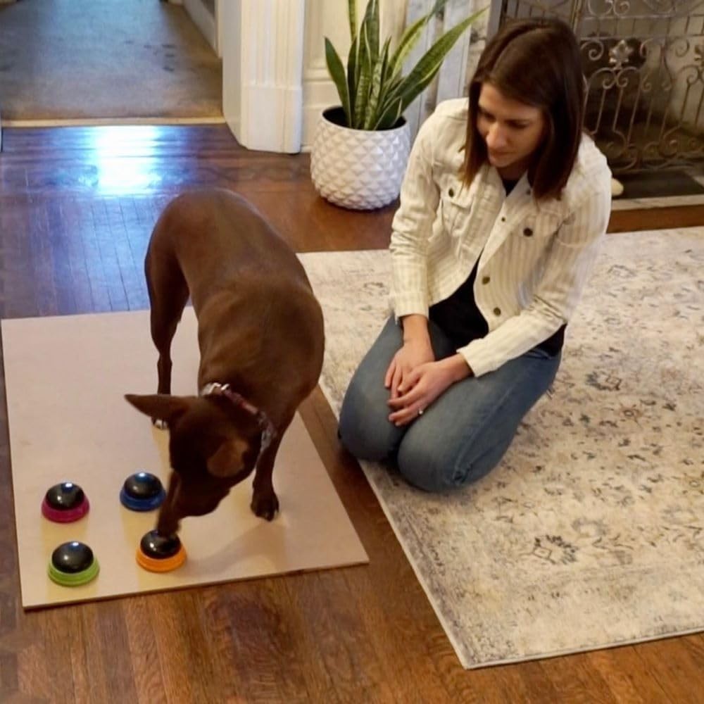 Dog Training Buttons - Christina's Guide