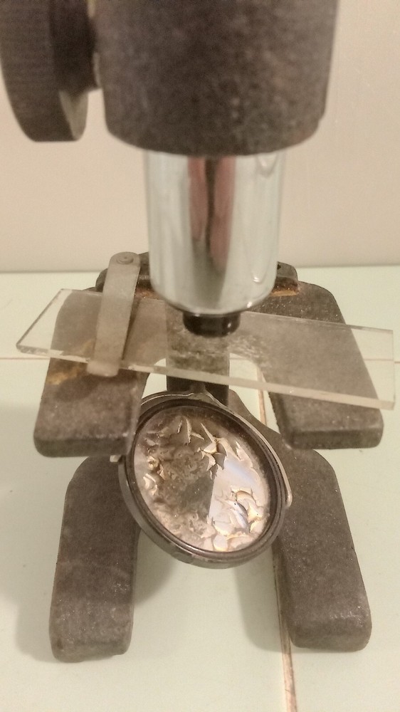 Wollensak Rochester 100 Power Microscope