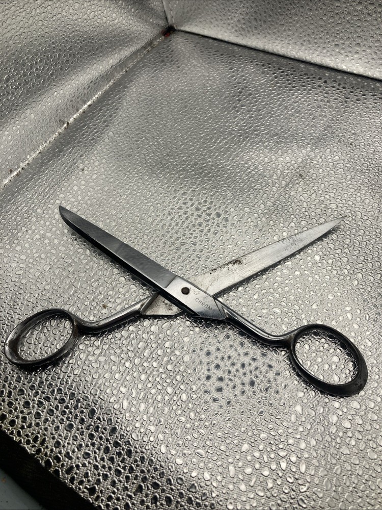 Wasa Solingen Scissors