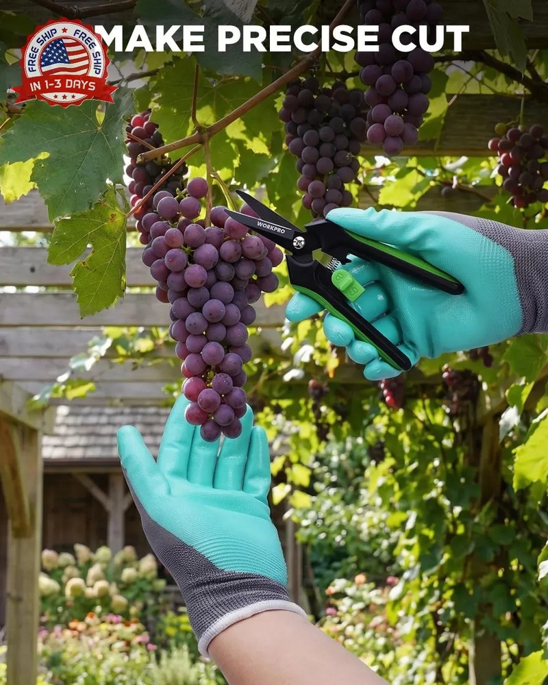 WORKPRO 6-Inch Pruning Shears, Sharp Gardening Scissors for Precise Cuts, High-C