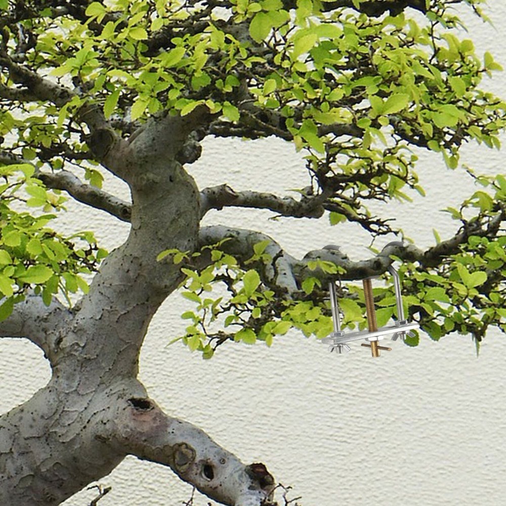 2 Bonsai Branch Bender Tools - BambooMN