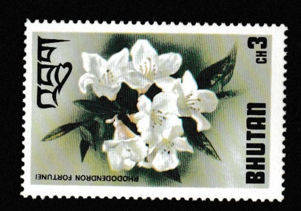 BHUTAN STAMP MNH Commemorative MINT unused WM0183