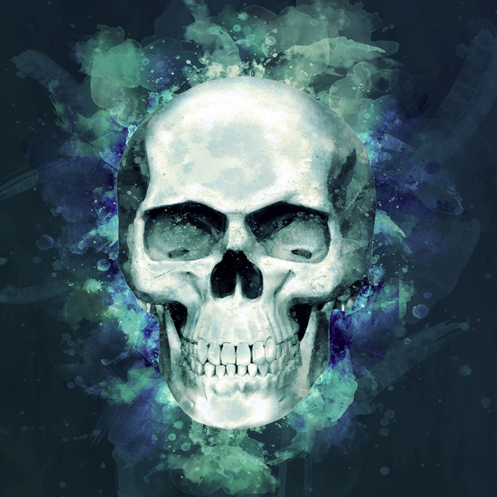 Zan® Flydanna® SportFlex® Paint Skull