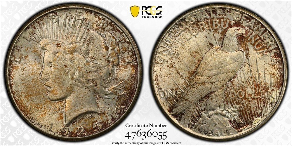 1925 PCGS MS64 Peace Silver Dollar - Toned