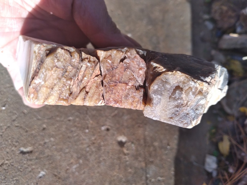 Opalized Wood Slab