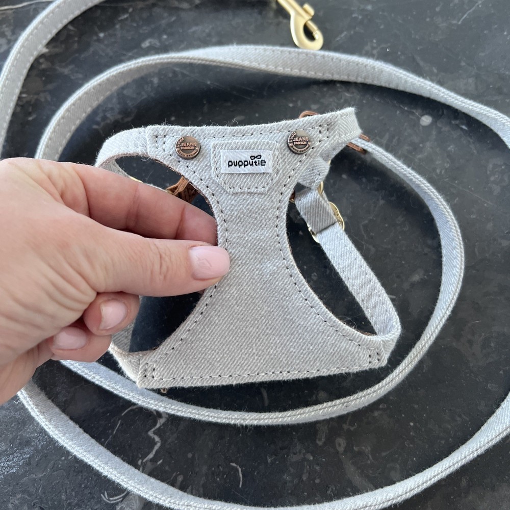 tiny dog harness Set