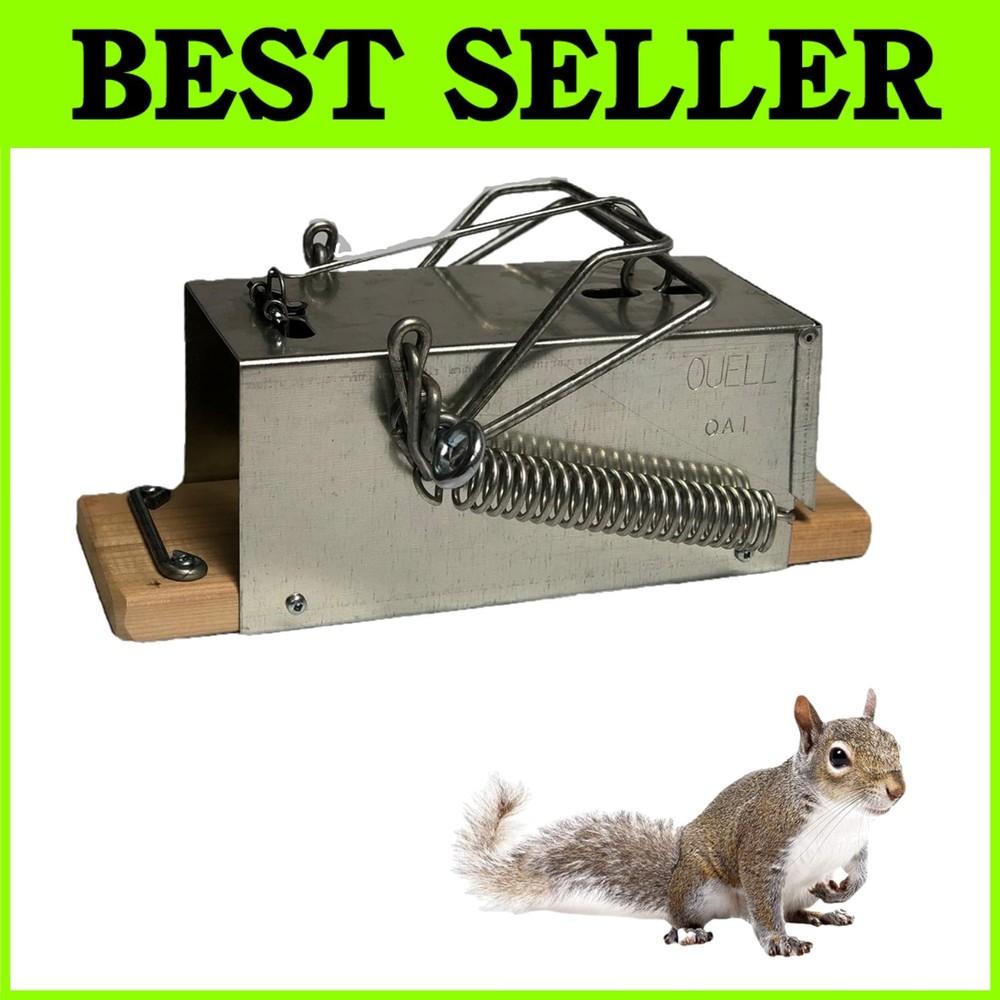 High-Quality Squirrel Trap - Efficient Extermination=