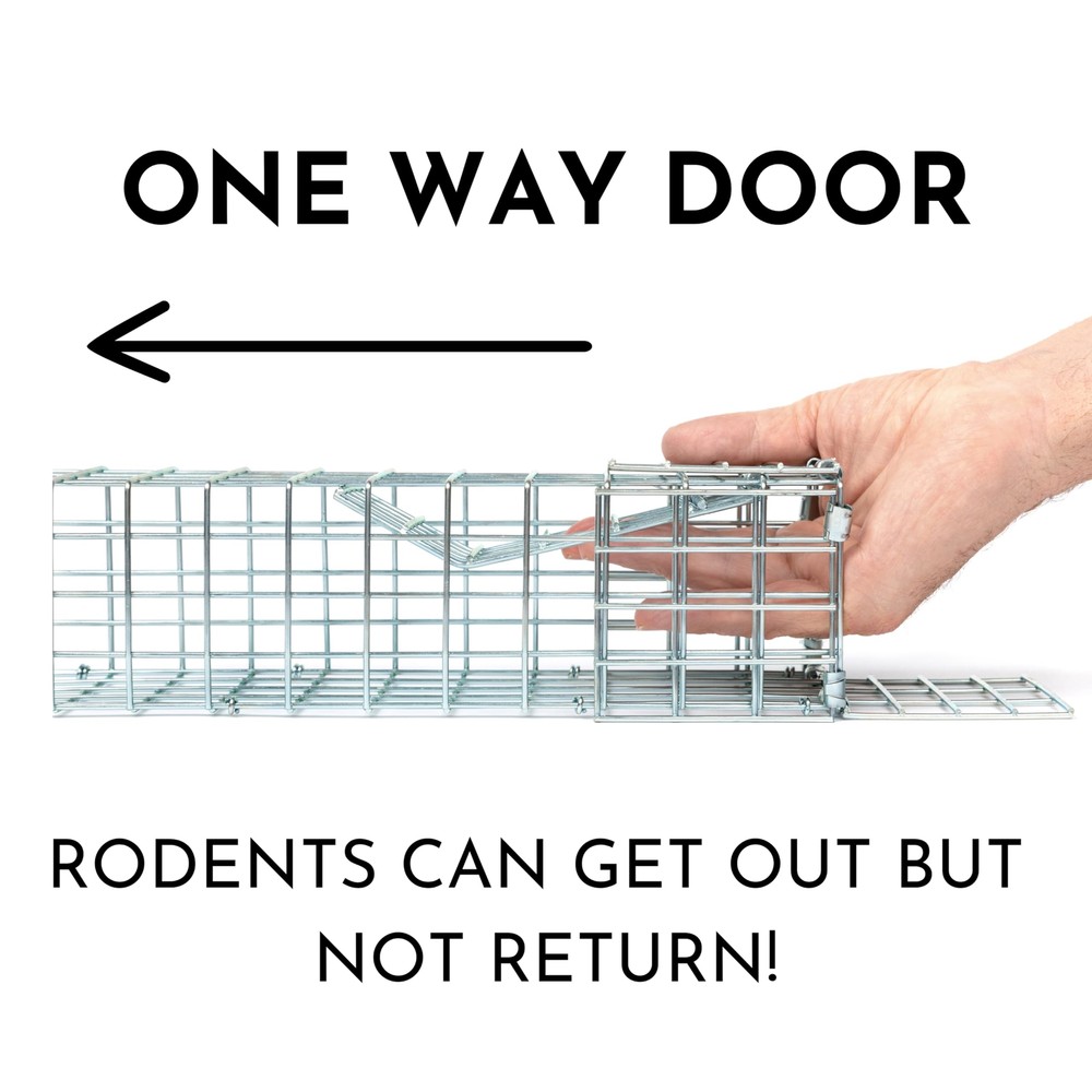 One-Way Rodent and Squirrel Trap with Copper Mesh for Effective Pest Control