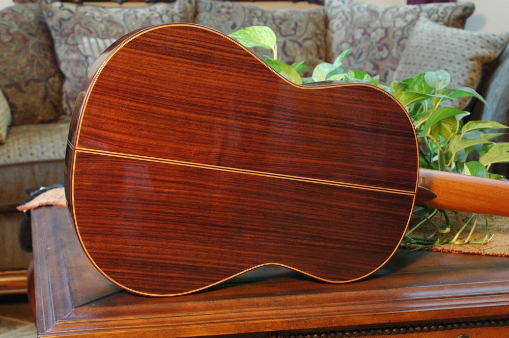 Make Your Own Rodriguez Guitar-Online Apprentice Guitar Making Course CDROM