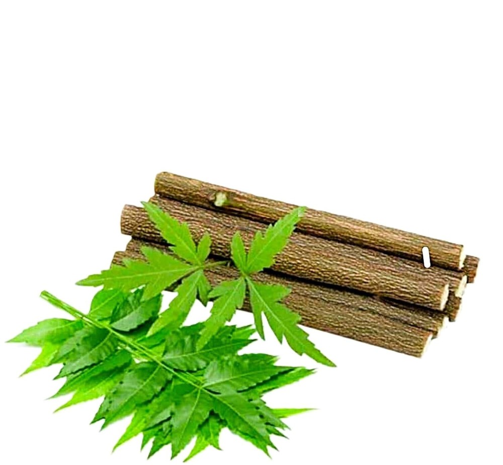 Organic Neem Chew Sticks Datun for Healthy and Strong Teeth