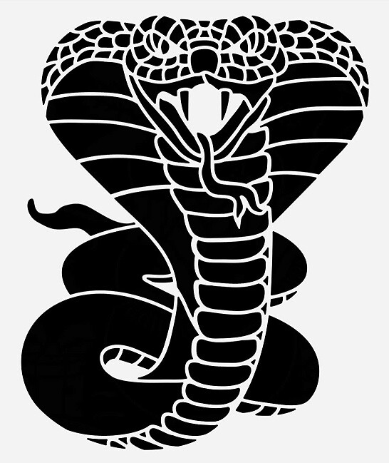 8"x10" Plastic Stencil - Cobra (ME440)*****