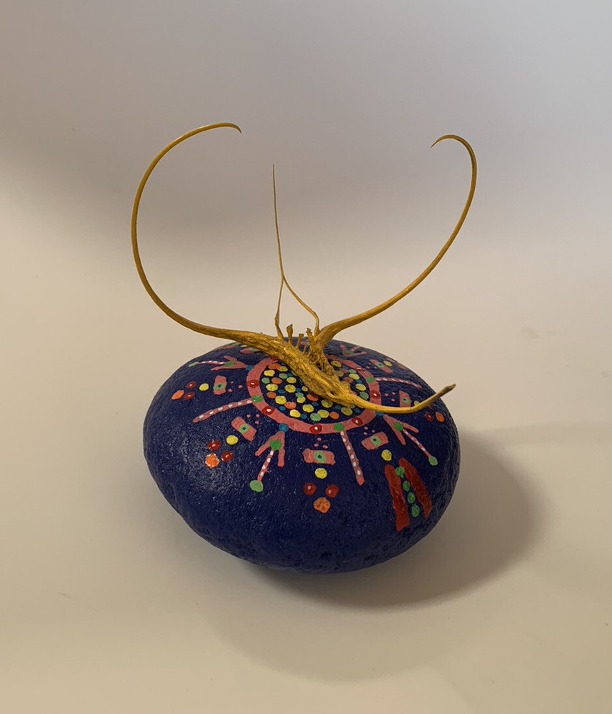 Proboscidea Devil's Claw FOLK ART SCULPTURE Painted Rock DEVIL'S Paperweight