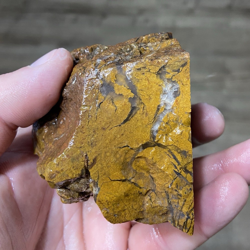 Stony Creek Brecciated Jasper Lapidary Rough 14.17 Oz!
