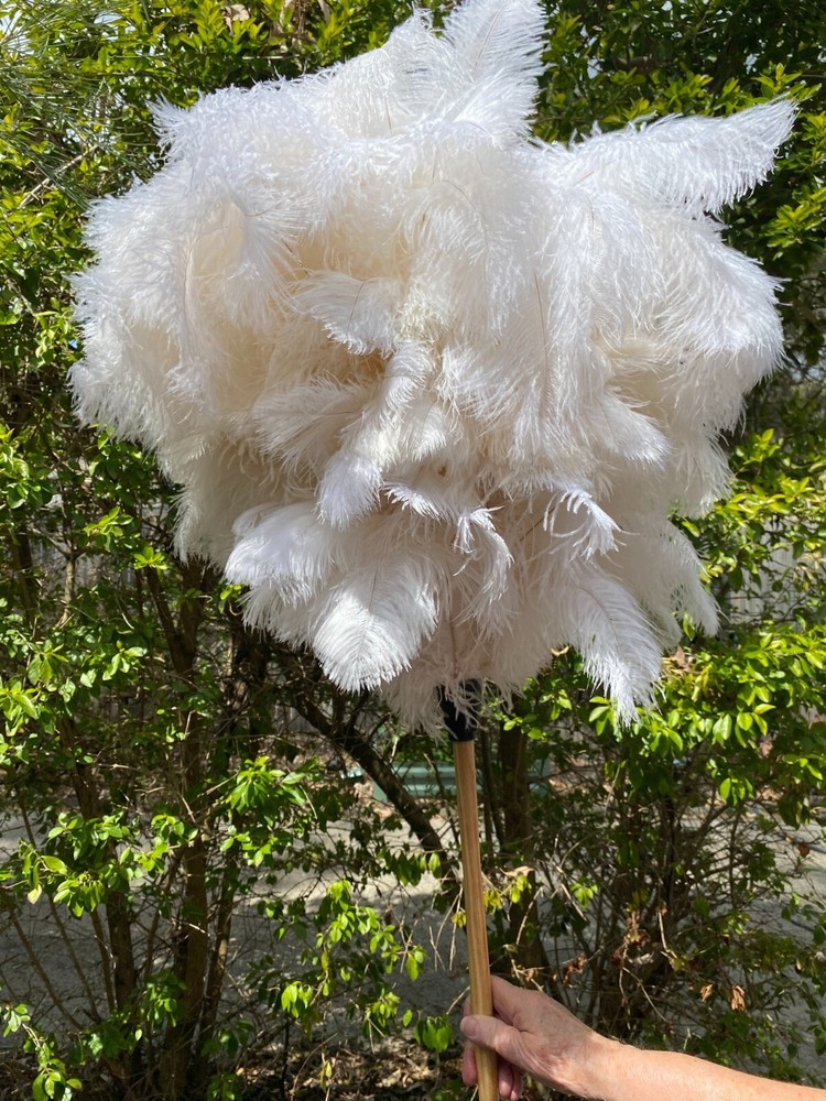 First grade ostrich feather display 180grm white ostrich feathe