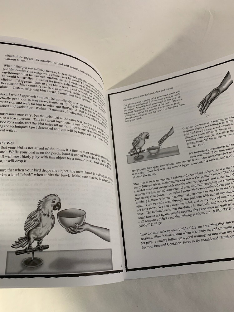 BIRD TRICKS - Newsletter #2 - THE MAILBOX ROUTINE (Parrot Training)