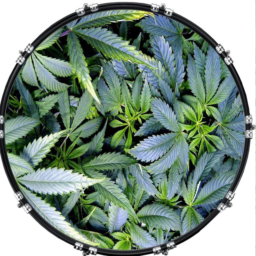 20" Custom Bass Kick Drum Front Head Graphical Graphic Pot Growth