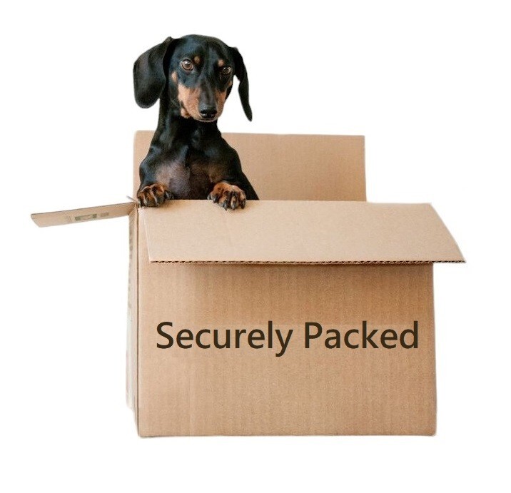 1998 Corel Photo-Paint 8 Upgrade Complete