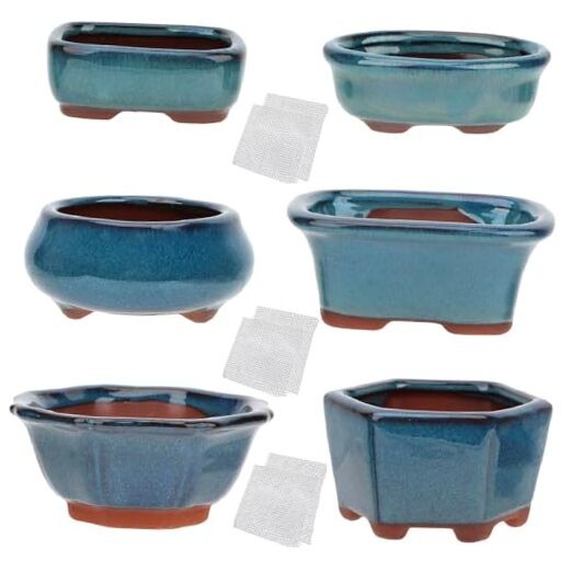Bonsai Planter 6 pc Mini Glazed Succulent Pots Value Set + 6 Soft Mesh Set6b