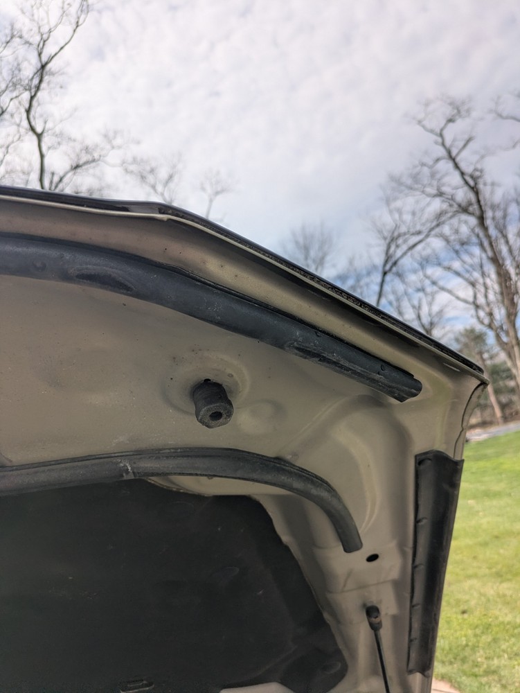 2013-2019 Ford Taurus Hood OEM