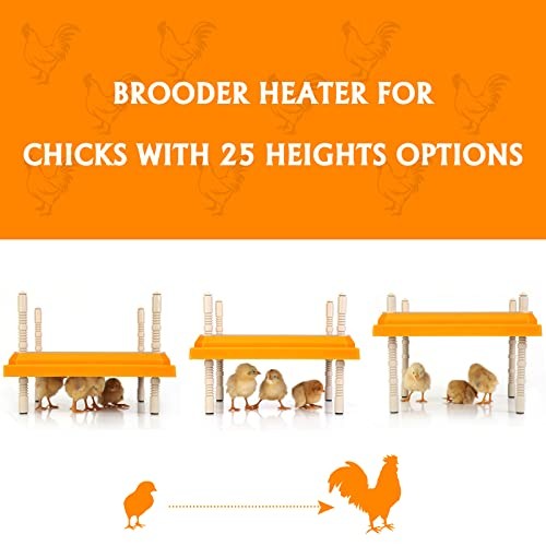 Brooder Heater for Chicks: Chick Brooder Heating Plate with Easy- Orange-10x10
