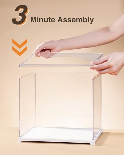 Acrylic Display Case Dust Cover for Collectibles, Stackable Showcase