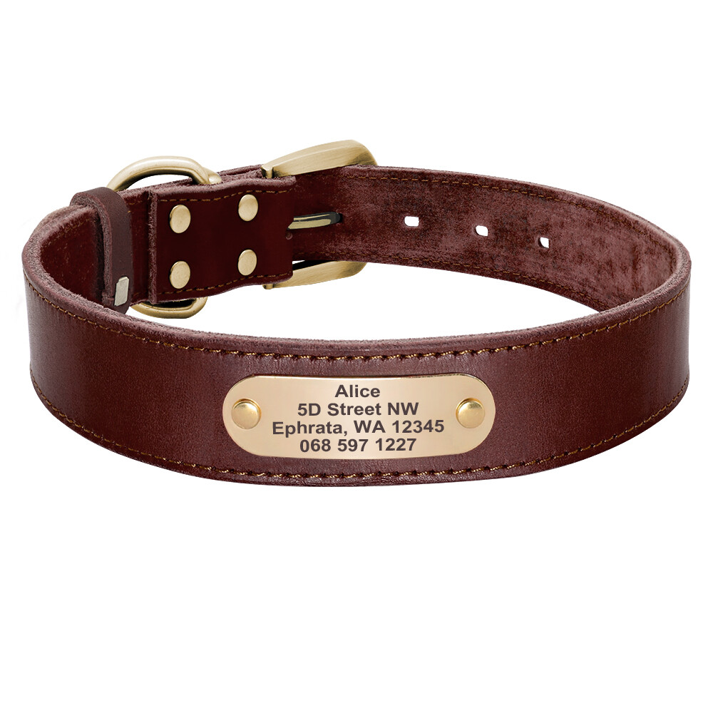 Custom Dog Collar Real Leather Personalized Brass Name Plate Small Medium Large