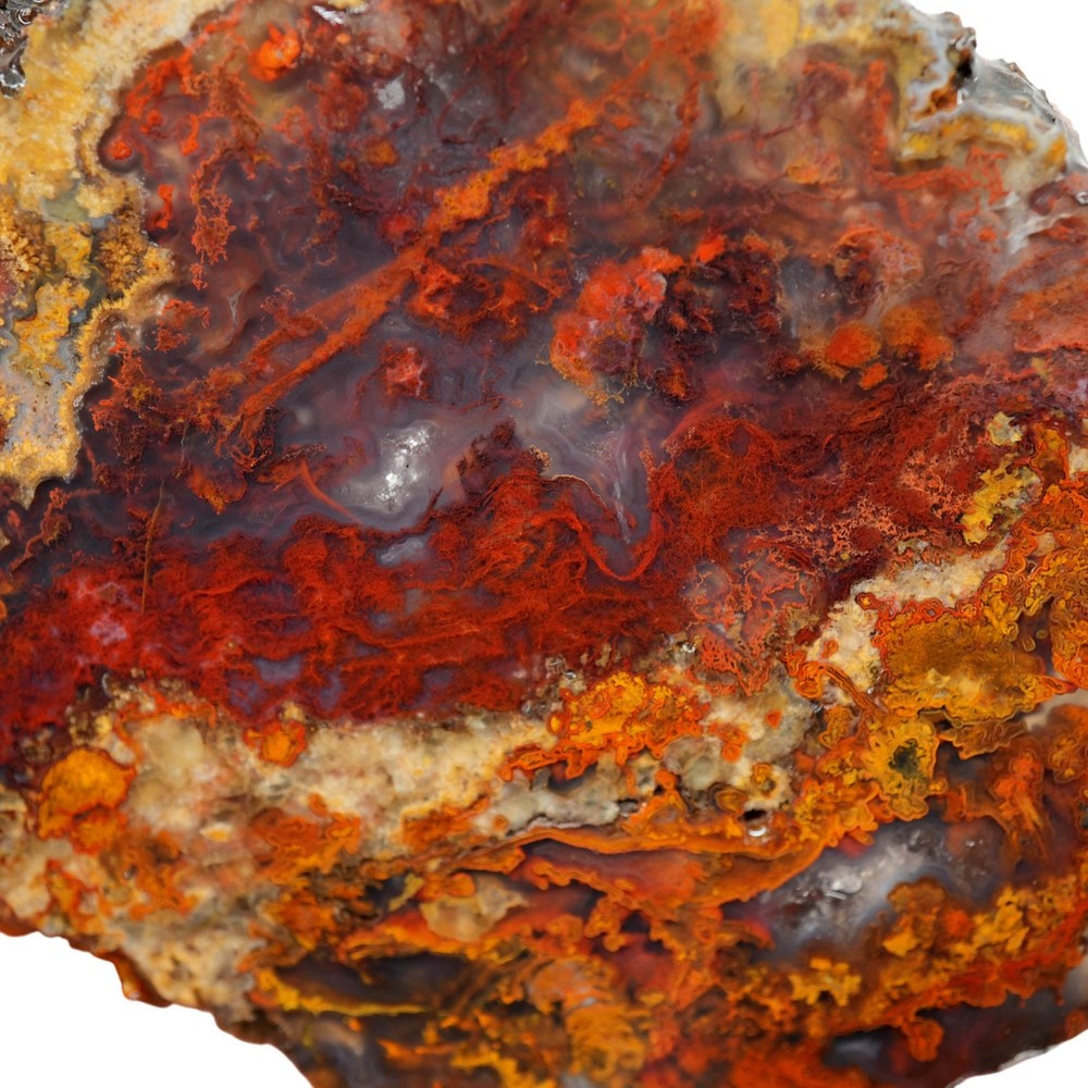 San Carlos Agate Slab - Red Moss with Blue Agate