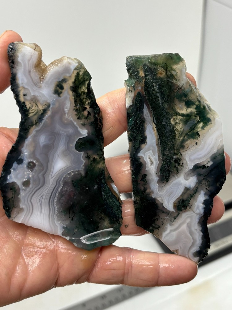 Semi-translucent Moss Agate Slabs Cabbing Lapidary Combo Ship Avail