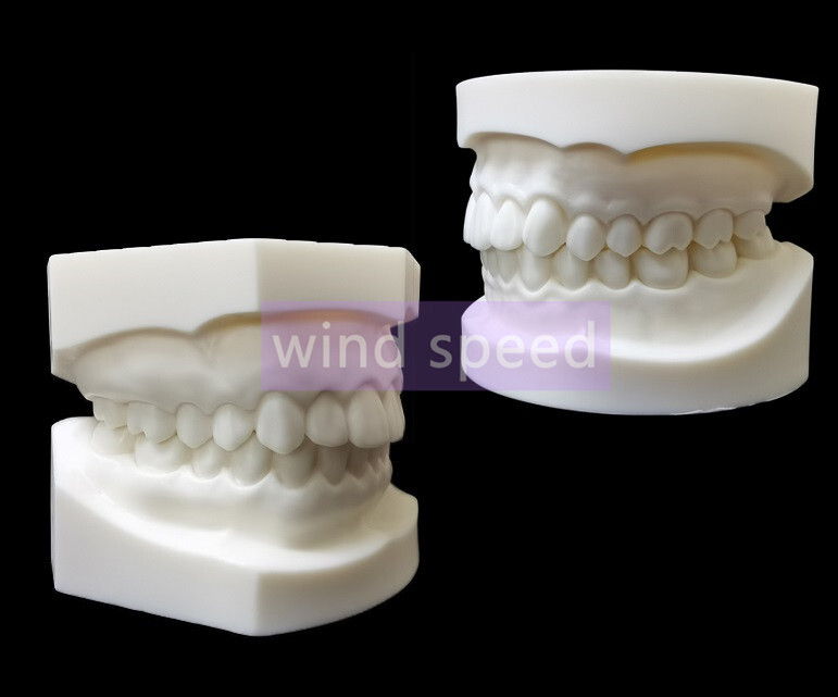 Dental Typodont Teeth Study Teach Model Implant Endo Caries Demonstration