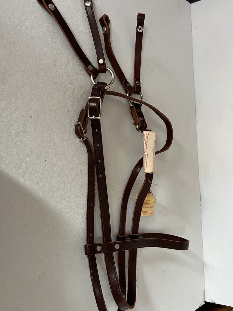 MacPherson Leather Horse Halter Band Headstall