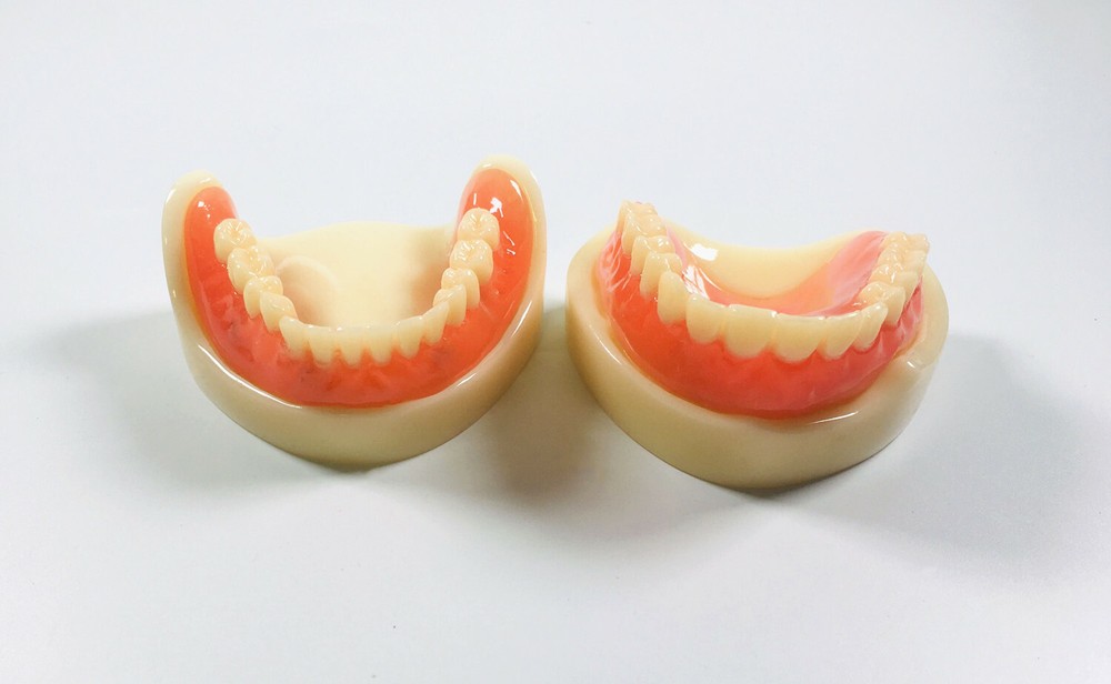 Dental Full Denture Model Magnetic Attachment Mandibular Upper/Lower Study